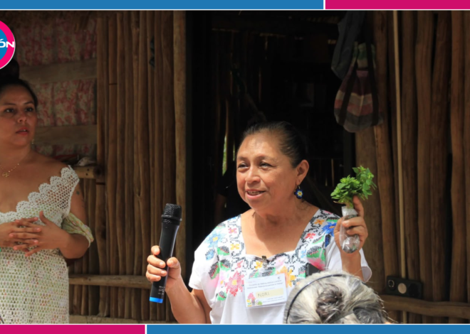Curandera maya de Uh May recibe premio nacional