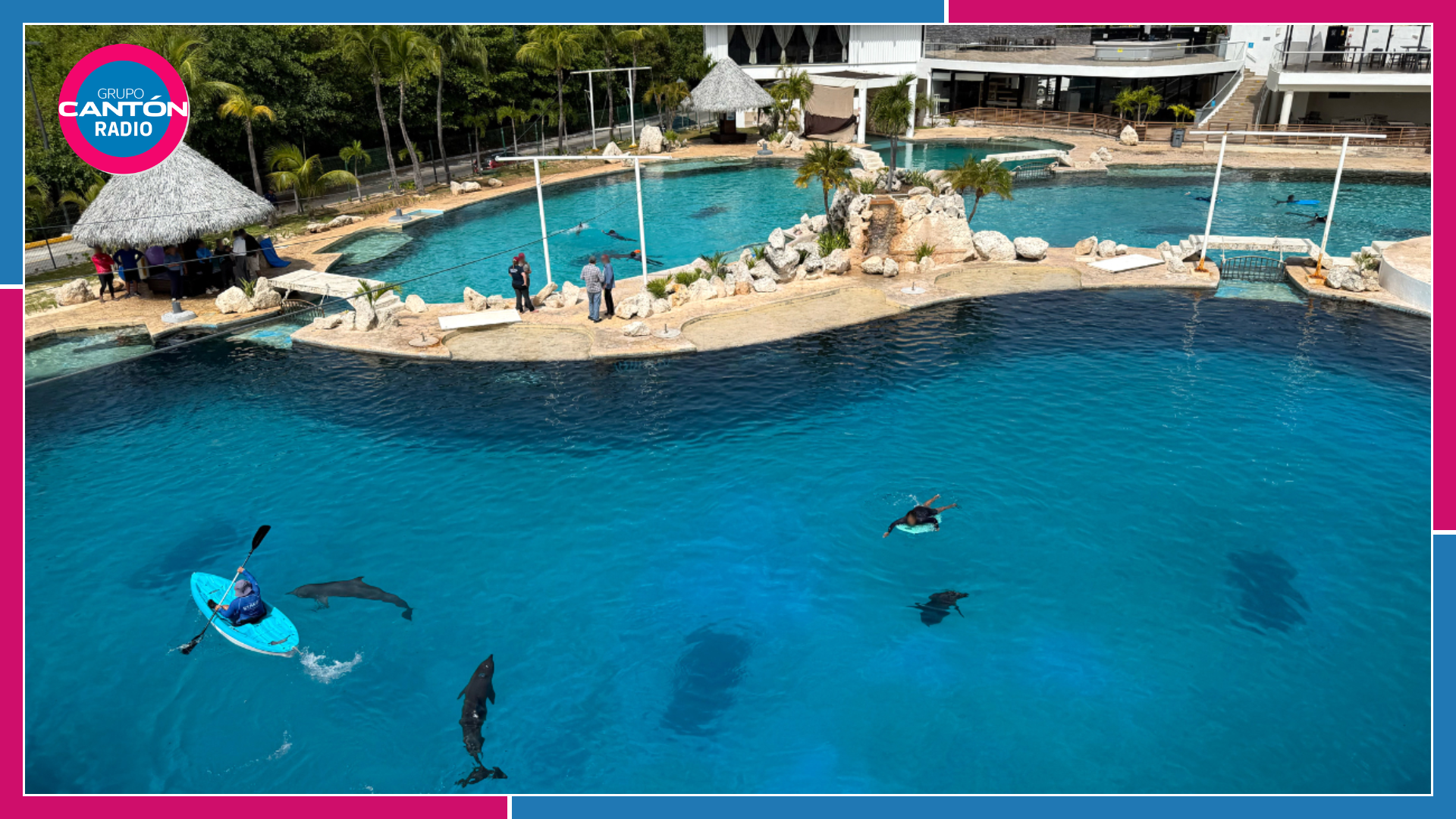 Tres de nueve delfines de Ventura Park difícilmente podrían ser reubicados