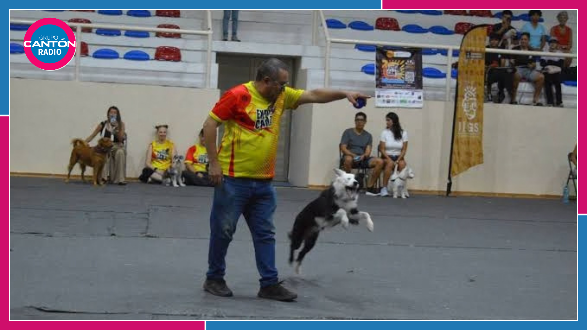 Mascotas: Expo Can 2026 reunirá a perros rescatistas en Playa del Carmen