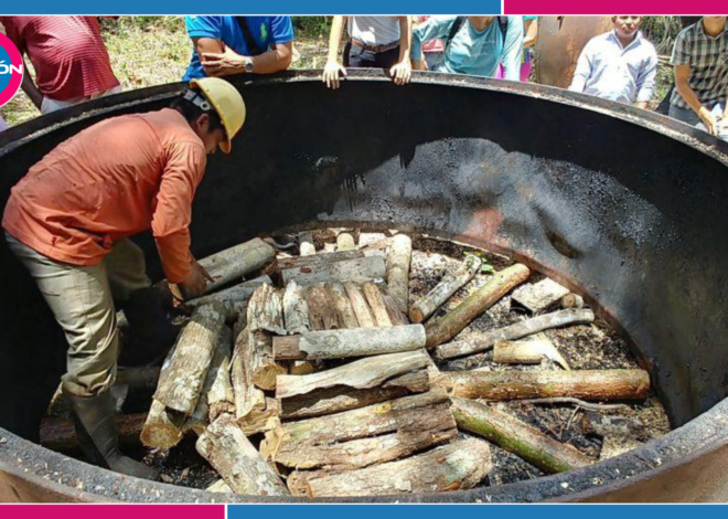 La Esperanza: la comunidad maya que vive de producir carbón en Quintana Roo