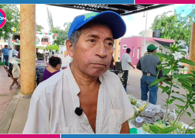 Poco interés por sembrar cedro en José María Morelos deja 250 plantas en vivero