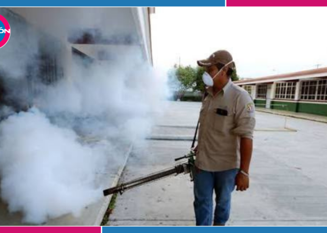 Quintana Roo ocupa sexto lugar nacional en casos de dengue