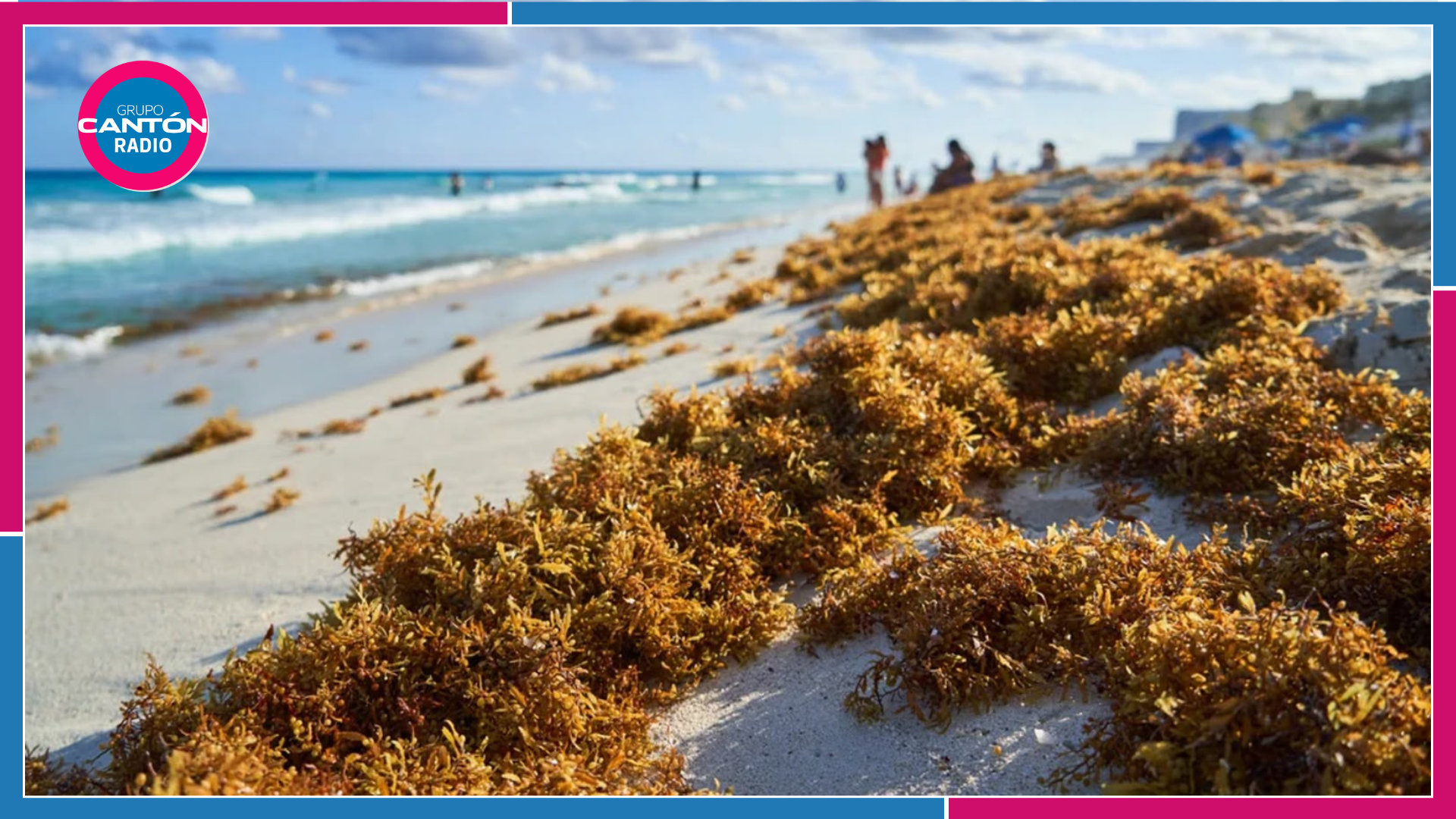 Se anticipa Cancún a la próxima temporada de sargazo