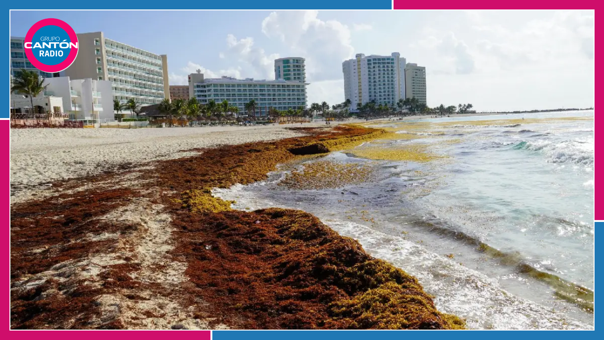 Del pescado al sargazo: 800 pescadores podrían salir a “cosechar” el alga en Quintana Roo
