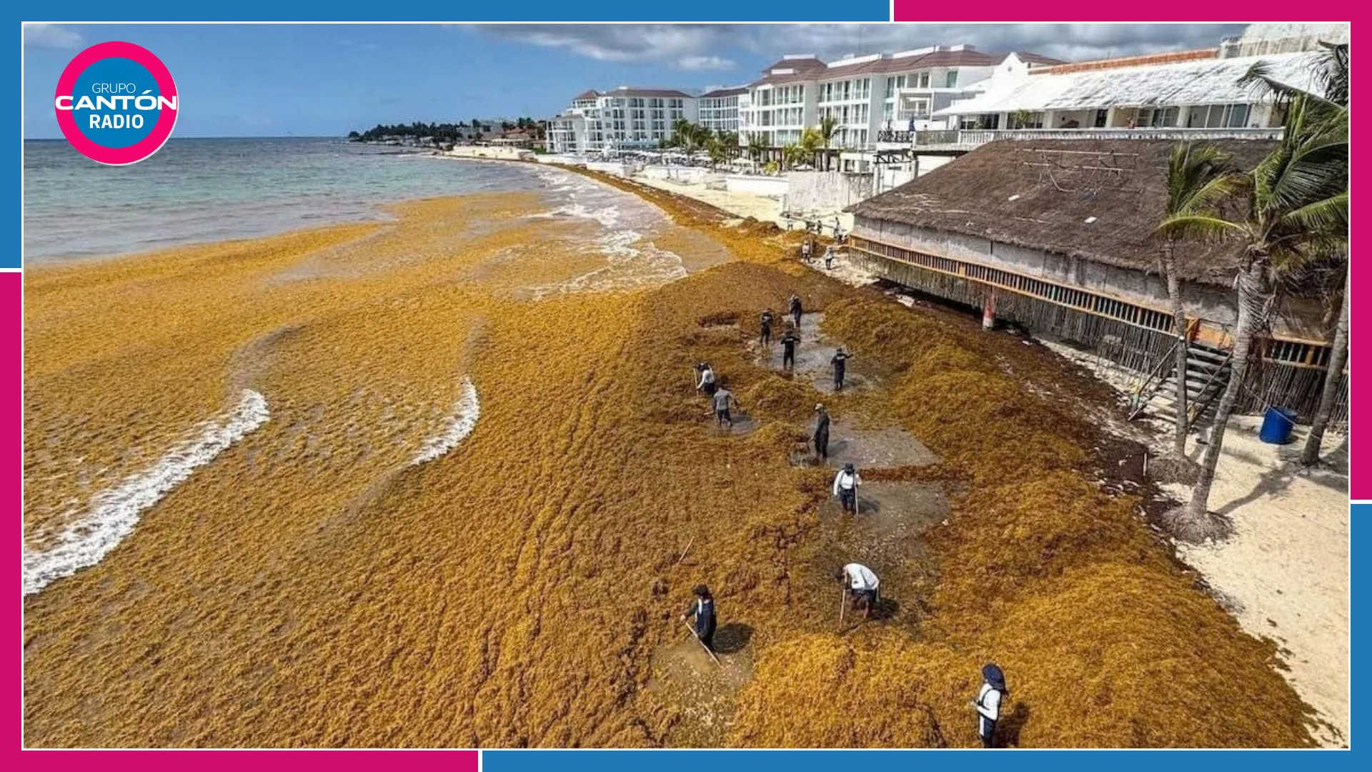 Riviera Maya convertirá sargazo en material para construcción