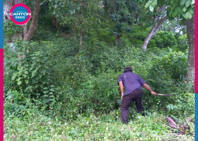 De eventos culturales a refugio de alimañas: el abandono del cerro Kantunich