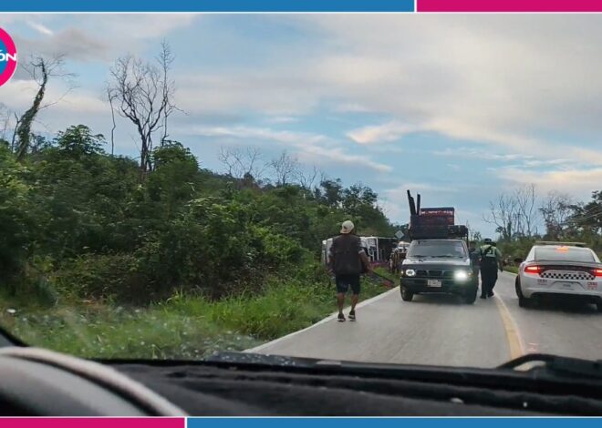 Vuelca segundo tráiler con pollos en dos días en Quintana Roo