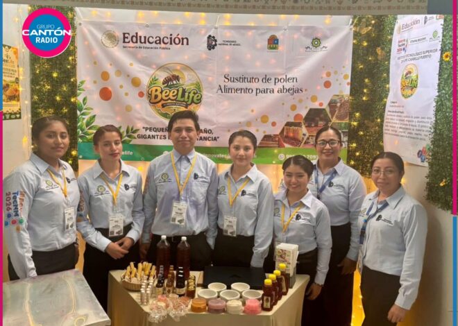Destacan estudiantes de Felipe Carrillo Puerto en la Cumbre InnovaTecNM 2026