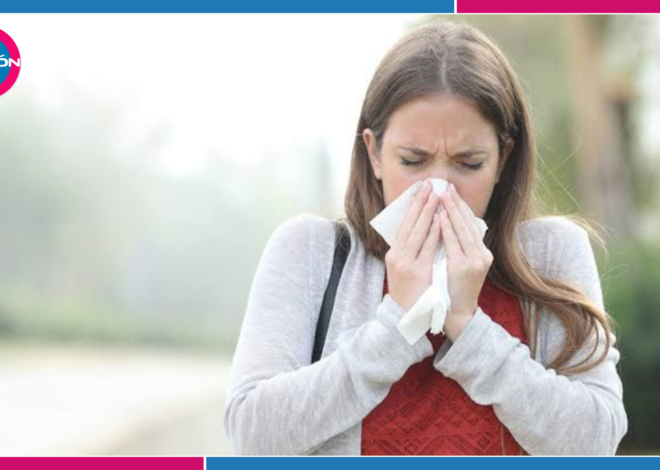 ¿Por qué aumentan las alergias respiratorias en octubre? La humedad y los ácaros pueden ser responsables