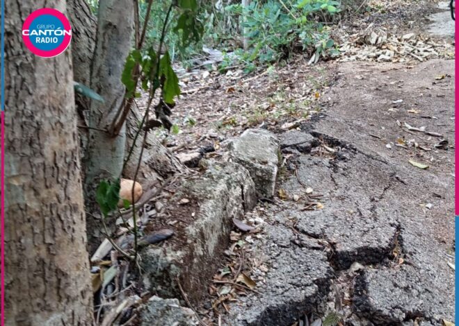 Felipe Carrillo Puerto: exigen reparar camino en Filomeno