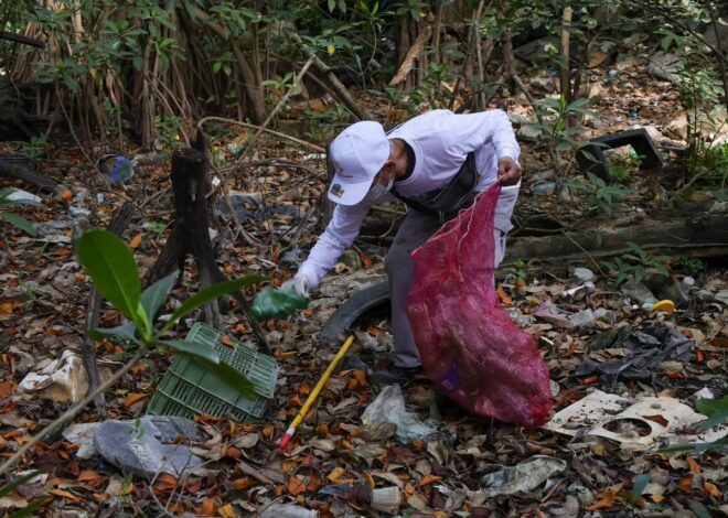 Encuentran agujas y bisturíes en un cenote de Cancún  