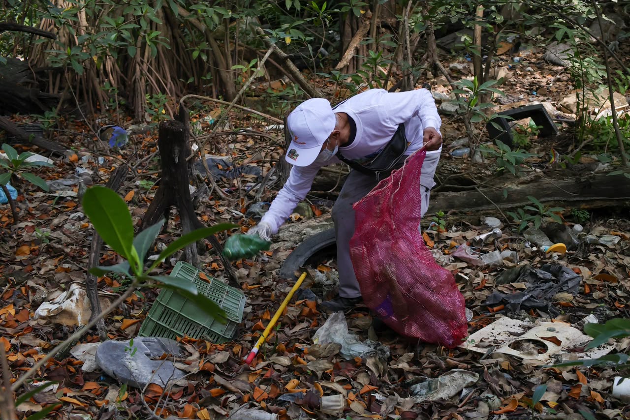Encuentran agujas y bisturíes en un cenote de Cancún  