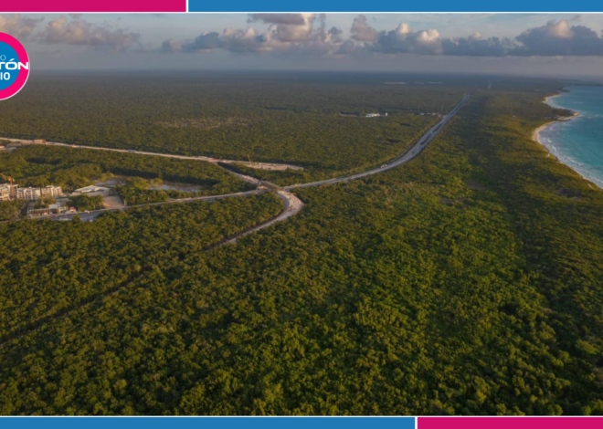 Especulación inmobiliaria pone en riesgo el patrimonio natural de Tulum