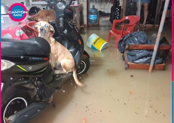 Lluvias en Bacalar provocan inundaciones en más de 100 viviendas