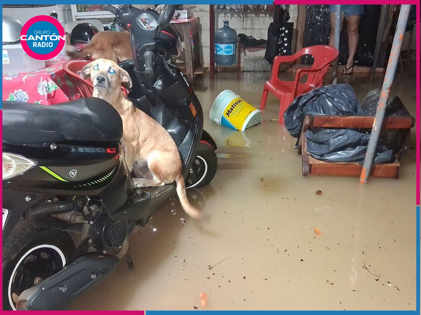 Lluvias en Bacalar provocan inundaciones en más de 100 viviendas