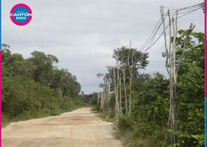 Quintana Roo registra 780 asentamientos irregulares y frena ventas ilegales