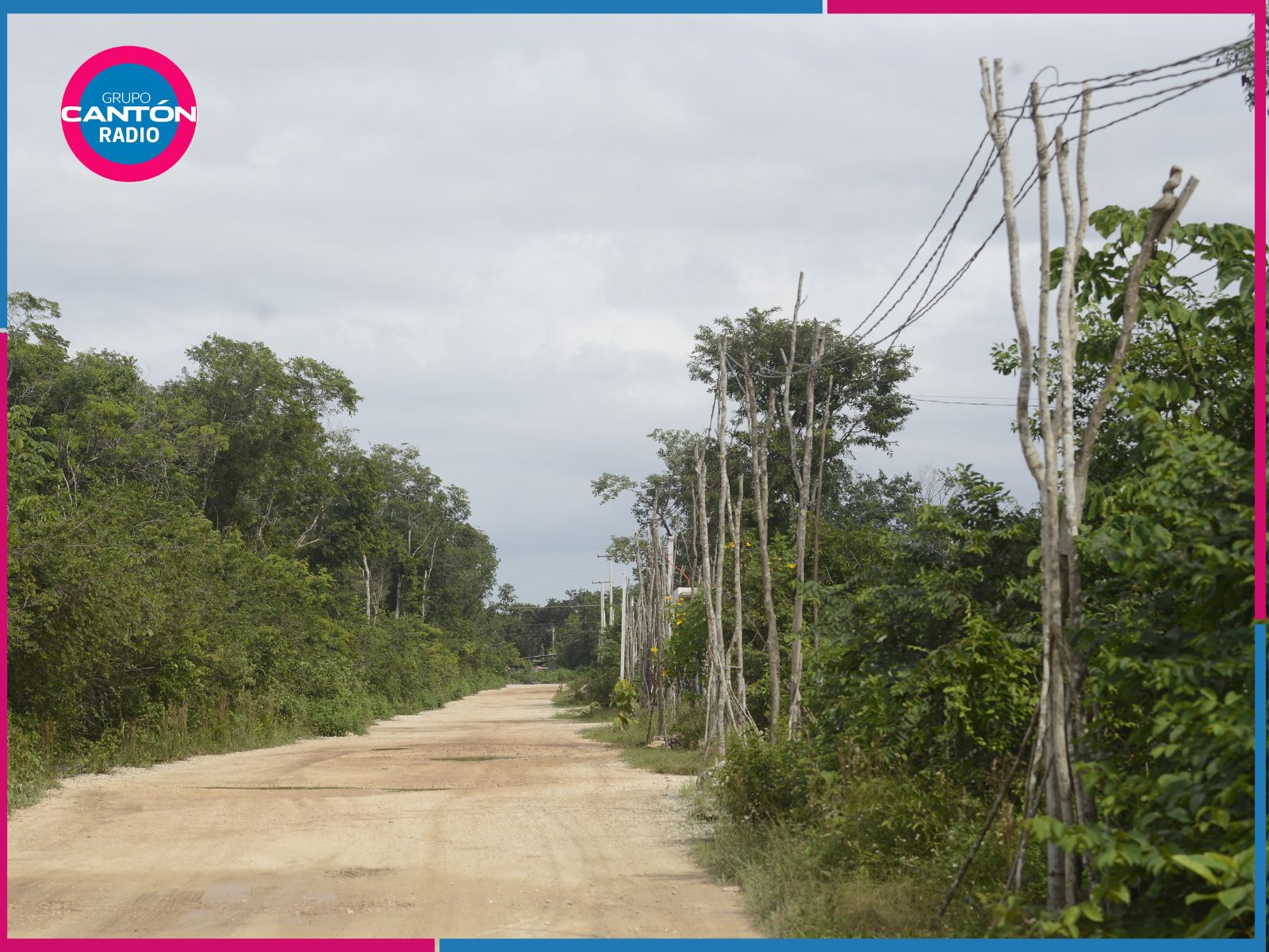 Quintana Roo registra 780 asentamientos irregulares y frena ventas ilegales