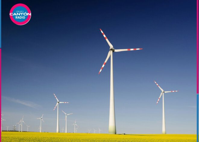 Proyectan parque eólico Vientos del Caribe de 208 MW en Othón P. Blanco