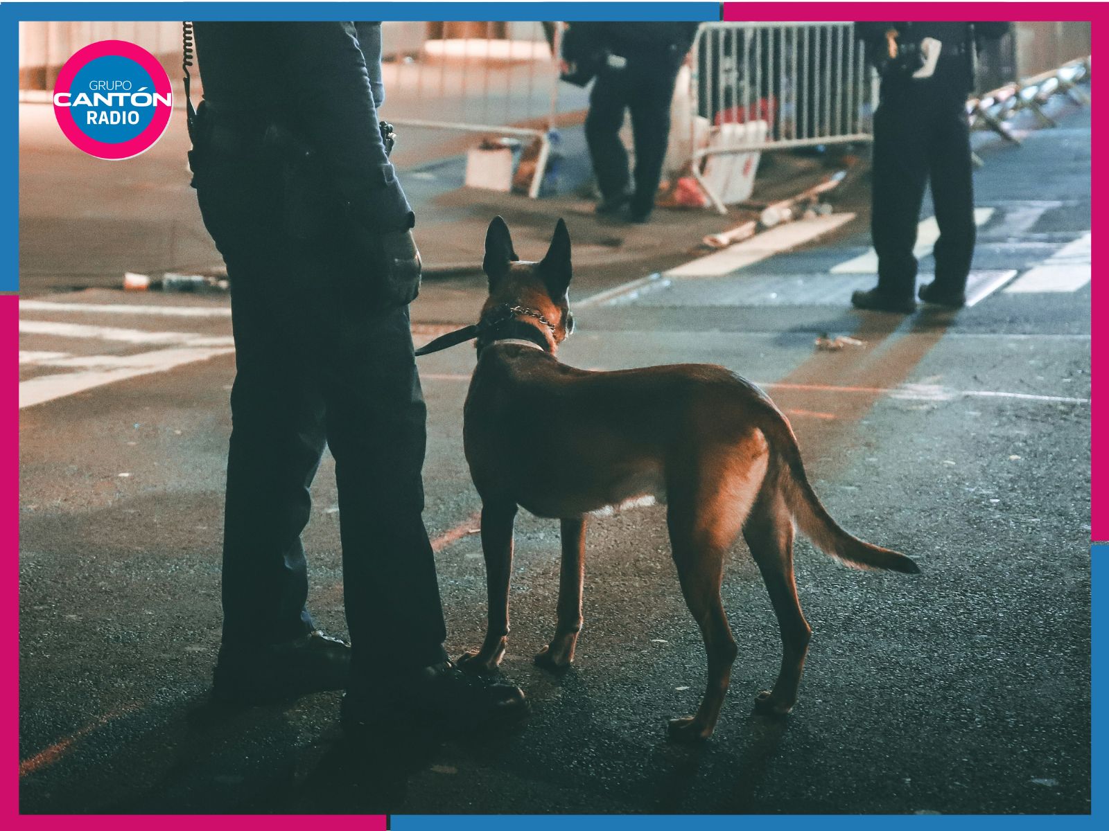 Unidad Canina K9 realiza más de 19 mil inspecciones en Quintana Roo en una semana