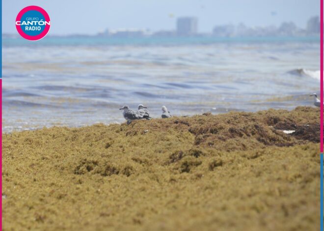 Pega más la crisis actual a Quintana Roo que el Covid-19: advierten hoteleros