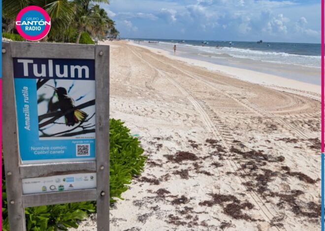 Playas de Tulum recuperan su atractivo sin sargazo